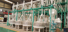 洛陽8+2石磨面粉加工設(shè)備